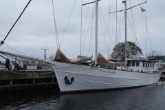 zeilboot WITTE DRAECK