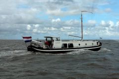 plv GROENZOETER varen